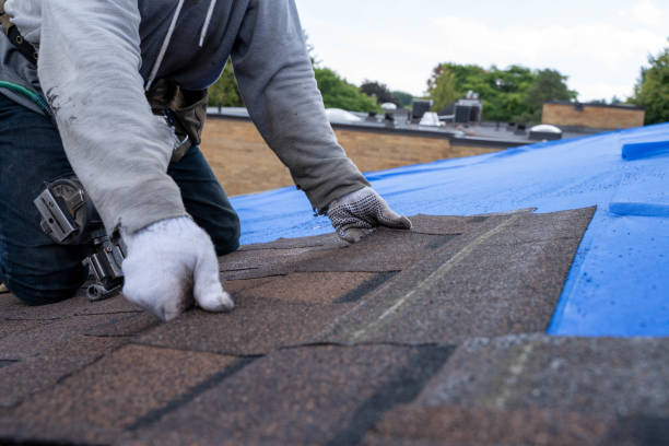 Roof Gutter Cleaning in Columbus, NM